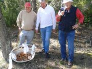 Vinaròs Aventura 4×4: ‘La Ruta del Rovelló’