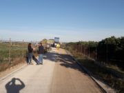 Obres i Serveis millora els camins rurals de Vinaròs