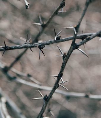 El dolor emocional (psicología)