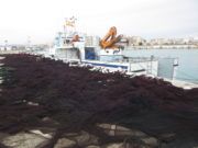 Port de Vinaròs des del dic transversal