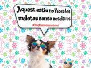 Campanya contra l’abandonament animal de l’ajuntament de Vinaròs