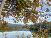Xerta: l’Ebre en lluïment tardoral (galeria)
