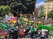 LA UNIÓ rebutja els grans projectes fotovoltaics