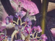 El Carnaval de Vinaròs 2025 brilla amb la Gala Infantil i la espectacular nit Drag