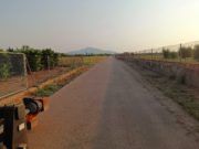 Agricultura reprendrà el desbrossament dels camins rurals
