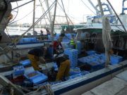 La pesca, per Andrus Albiol