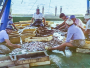 La pesca, per Andrus Albiol